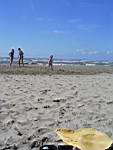 040710 NWH 48.JPG